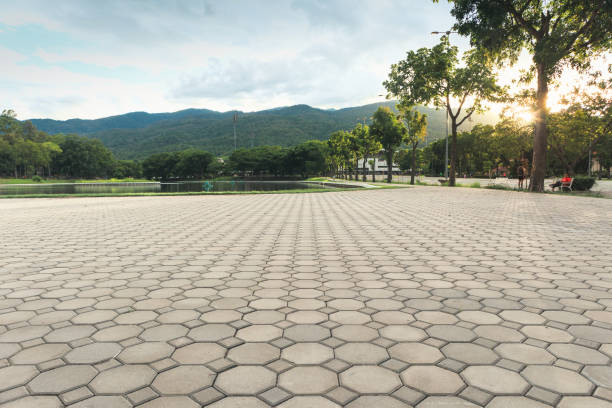 Best Local Driveway Pavers  in Farmington, MO